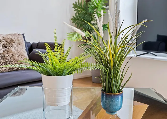 Exquisite In Old Town *