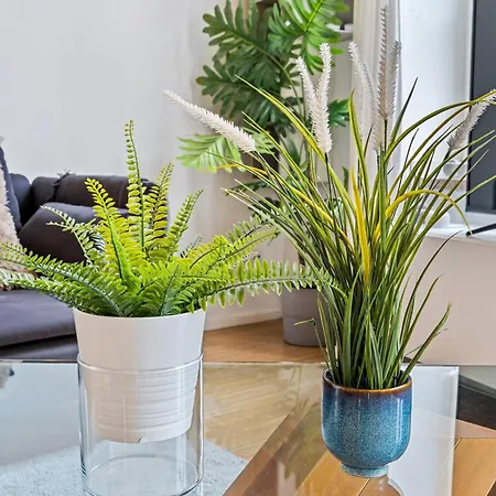 Exquisite In Old Town *